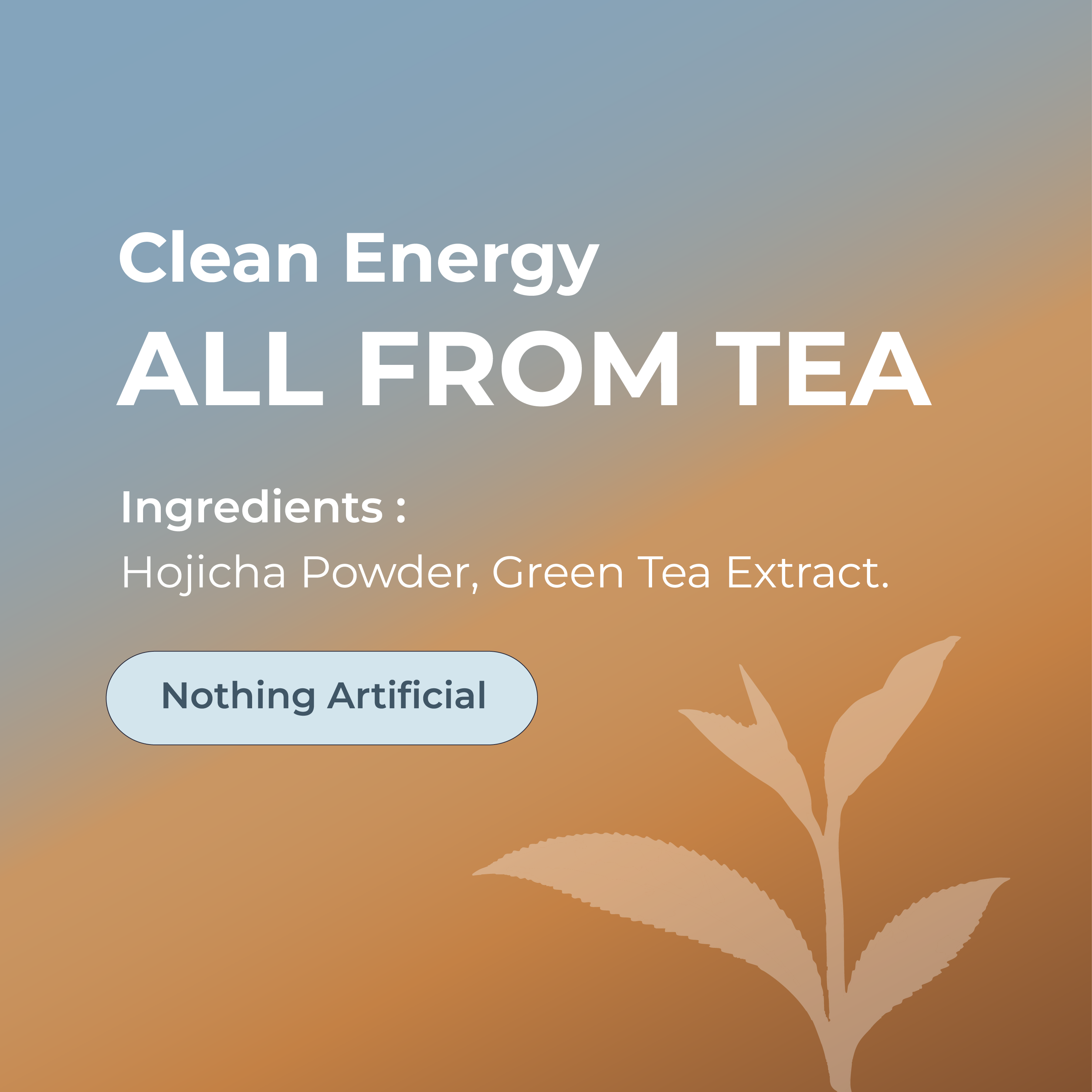 Hojicha Calm Energy Tea Latte Powder